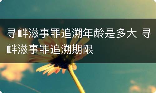 寻衅滋事罪追溯年龄是多大 寻衅滋事罪追溯期限
