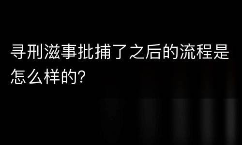 寻刑滋事批捕了之后的流程是怎么样的？