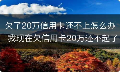 欠了20万信用卡还不上怎么办 我现在欠信用卡20万还不起了怎么办