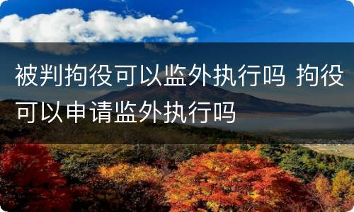 被判拘役可以监外执行吗 拘役可以申请监外执行吗