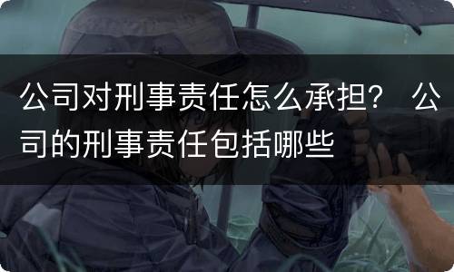 公司对刑事责任怎么承担？ 公司的刑事责任包括哪些