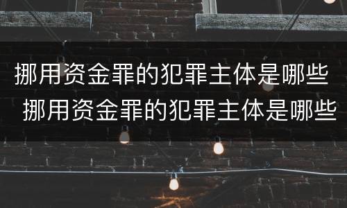 挪用资金罪的犯罪主体是哪些 挪用资金罪的犯罪主体是哪些行为