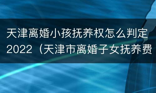 天津离婚小孩抚养权怎么判定2022（天津市离婚子女抚养费标准）