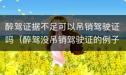 醉驾证据不足可以吊销驾驶证吗（醉驾没吊销驾驶证的例子）