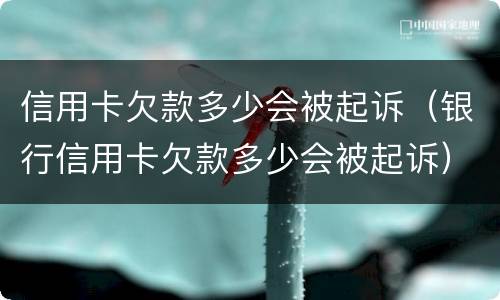 信用卡欠款多少会被起诉（银行信用卡欠款多少会被起诉）