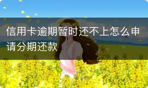 信用卡逾期暂时还不上怎么申请分期还款