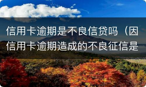 信用卡逾期是不良信贷吗（因信用卡逾期造成的不良征信是否可以消除）