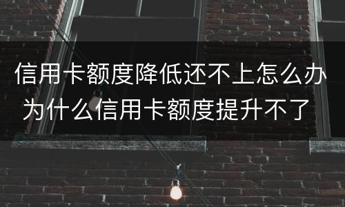 信用卡额度降低还不上怎么办 为什么信用卡额度提升不了