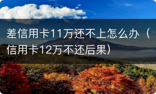 差信用卡11万还不上怎么办（信用卡12万不还后果）