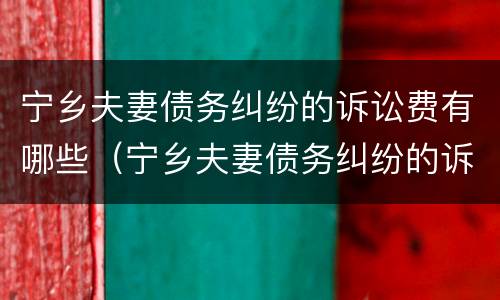 宁乡夫妻债务纠纷的诉讼费有哪些（宁乡夫妻债务纠纷的诉讼费有哪些项目）