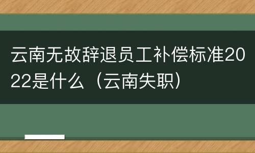云南无故辞退员工补偿标准2022是什么（云南失职）