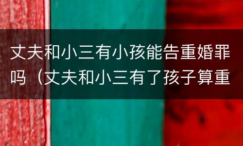 丈夫和小三有小孩能告重婚罪吗（丈夫和小三有了孩子算重婚罪吗）