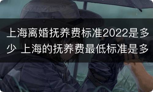上海离婚抚养费标准2022是多少 上海的抚养费最低标准是多少