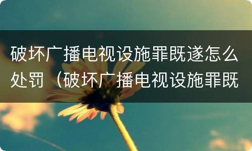 破坏广播电视设施罪既遂怎么处罚（破坏广播电视设施罪既遂怎么处罚的）