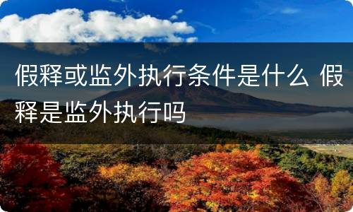 假释或监外执行条件是什么 假释是监外执行吗