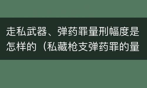 走私武器、弹药罪量刑幅度是怎样的（私藏枪支弹药罪的量刑标准）