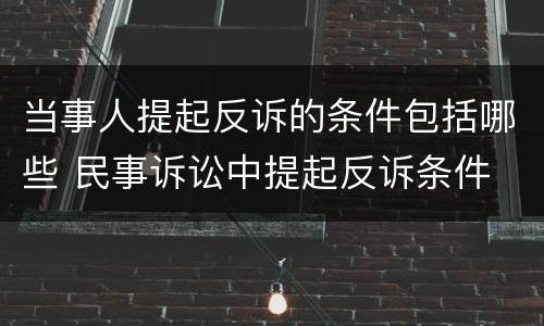 当事人提起反诉的条件包括哪些 民事诉讼中提起反诉条件