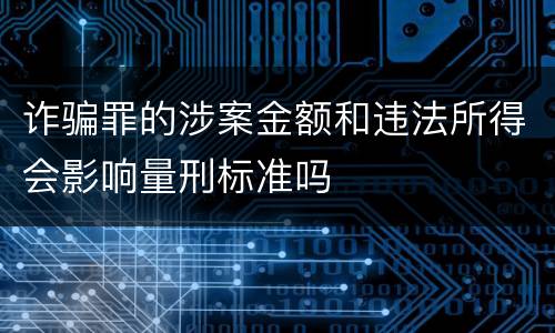 诈骗罪的涉案金额和违法所得会影响量刑标准吗