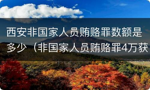 西安非国家人员贿赂罪数额是多少（非国家人员贿赂罪4万获刑）