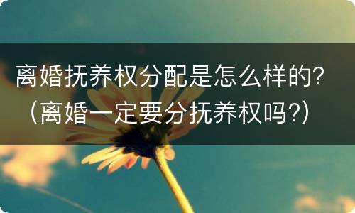 离婚抚养权分配是怎么样的？（离婚一定要分抚养权吗?）