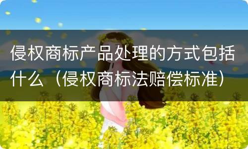 侵权商标产品处理的方式包括什么（侵权商标法赔偿标准）