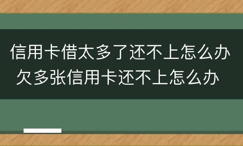 信用卡借太多了还不上怎么办 欠多张信用卡还不上怎么办