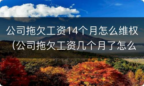 公司拖欠工资14个月怎么维权（公司拖欠工资几个月了怎么办）