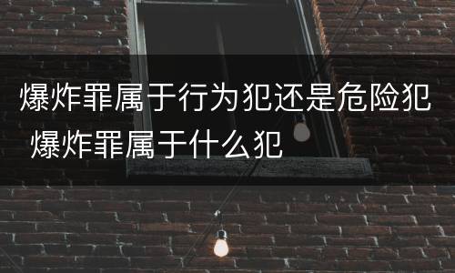 爆炸罪属于行为犯还是危险犯 爆炸罪属于什么犯