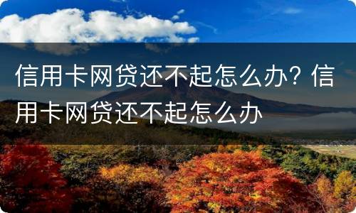 信用卡网贷还不起怎么办? 信用卡网贷还不起怎么办
