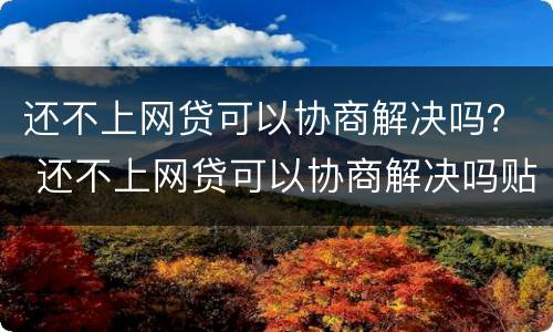 还不上网贷可以协商解决吗？ 还不上网贷可以协商解决吗贴吧