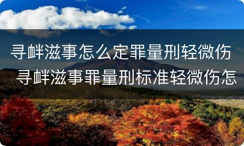 寻衅滋事怎么定罪量刑轻微伤 寻衅滋事罪量刑标准轻微伤怎么办