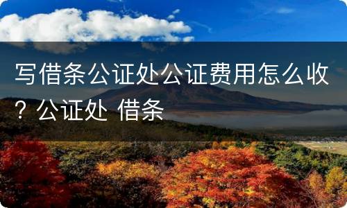 写借条公证处公证费用怎么收? 公证处 借条
