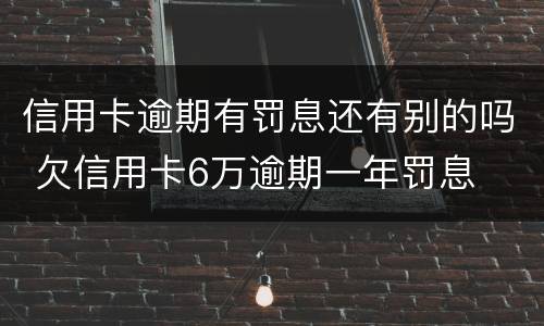 信用卡逾期有罚息还有别的吗 欠信用卡6万逾期一年罚息