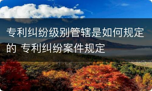 专利纠纷级别管辖是如何规定的 专利纠纷案件规定