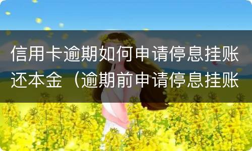 信用卡逾期如何申请停息挂账还本金（逾期前申请停息挂账吗）