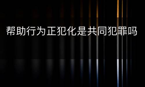 帮助行为正犯化是共同犯罪吗
