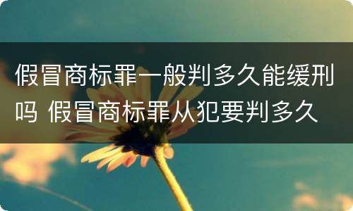 假冒商标罪一般判多久能缓刑吗 假冒商标罪从犯要判多久