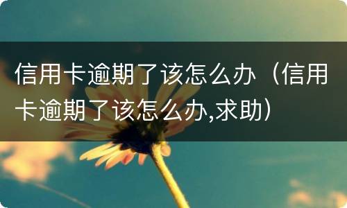 信用卡逾期了该怎么办（信用卡逾期了该怎么办,求助）