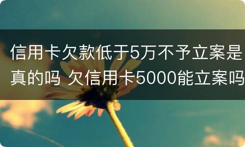 信用卡欠款低于5万不予立案是真的吗 欠信用卡5000能立案吗