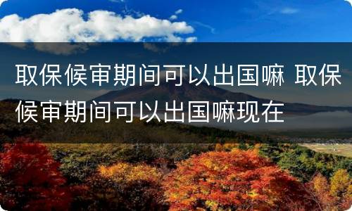 取保候审期间可以出国嘛 取保候审期间可以出国嘛现在