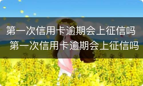 第一次信用卡逾期会上征信吗 第一次信用卡逾期会上征信吗知乎