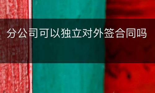 分公司可以独立对外签合同吗