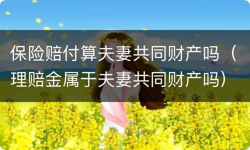 保险赔付算夫妻共同财产吗（理赔金属于夫妻共同财产吗）