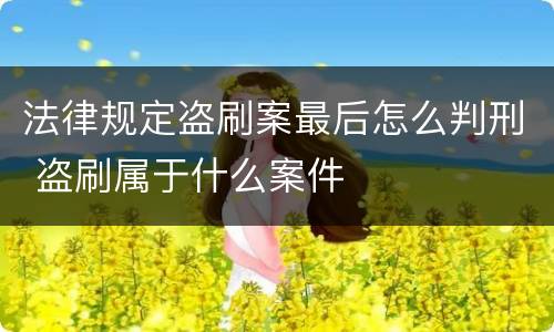 法律规定盗刷案最后怎么判刑 盗刷属于什么案件
