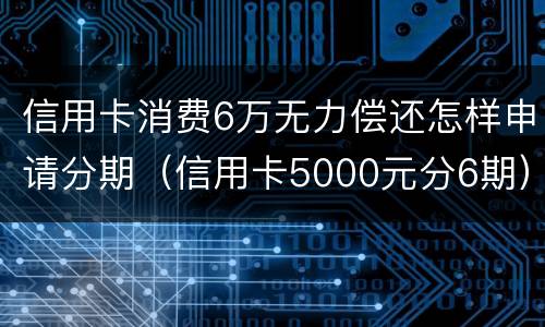 信用卡消费6万无力偿还怎样申请分期（信用卡5000元分6期）