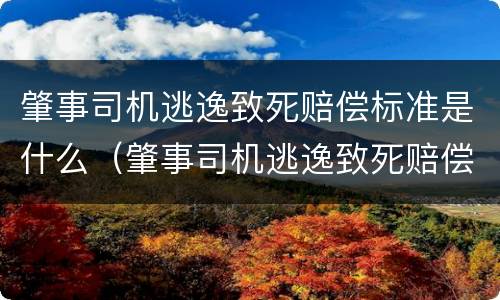 肇事司机逃逸致死赔偿标准是什么（肇事司机逃逸致死赔偿标准是什么样的）