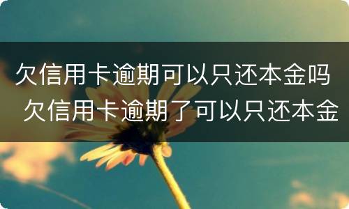 欠信用卡逾期可以只还本金吗 欠信用卡逾期了可以只还本金不还利息吗