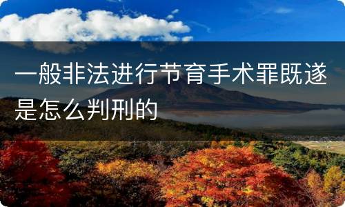 一般非法进行节育手术罪既遂是怎么判刑的