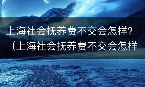上海社会抚养费不交会怎样？（上海社会抚养费不交会怎样呢）