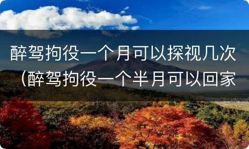 醉驾拘役一个月可以探视几次（醉驾拘役一个半月可以回家几次）